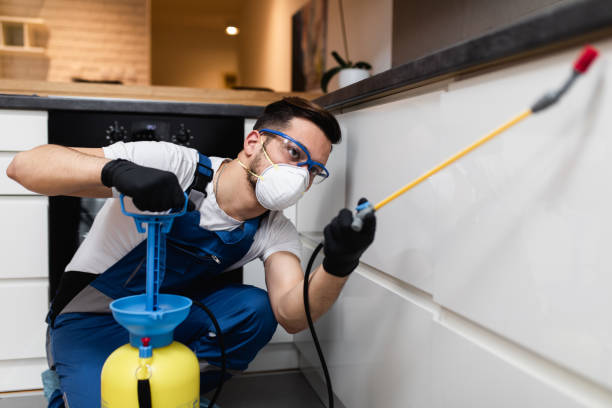 Best Residential Pest Control  in Flanders, NJ