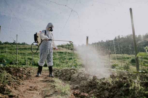 Best Best Pest Control Companies  in Flanders, NJ