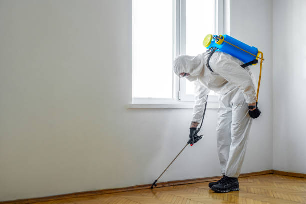 Trusted Flanders, NJ Pest Control Experts