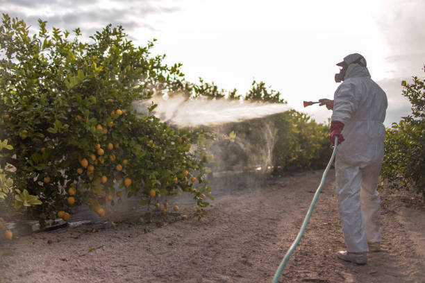 Best Residential Pest Control  in Flanders, NJ