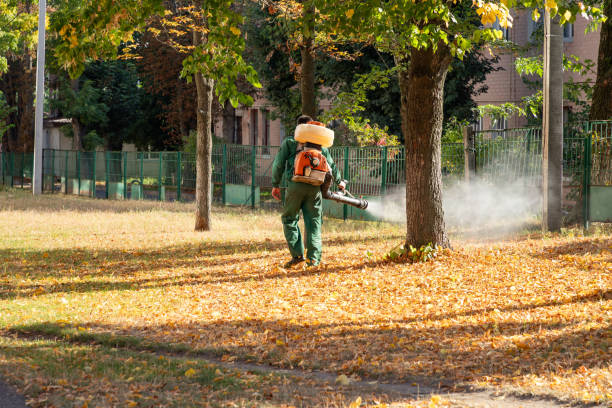 Best Mosquito Control Services  in Flanders, NJ