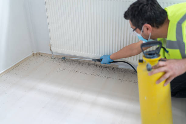 Best Pest Inspection Near Me  in Flanders, NJ